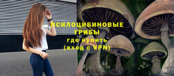СК Армянск