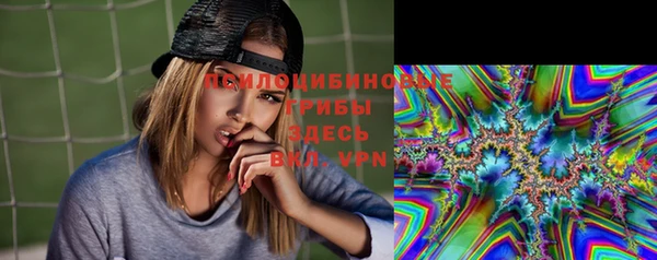 СК Армянск