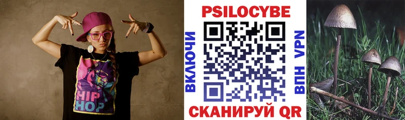 Псилоцибиновые грибы Psilocybine cubensis Валдай