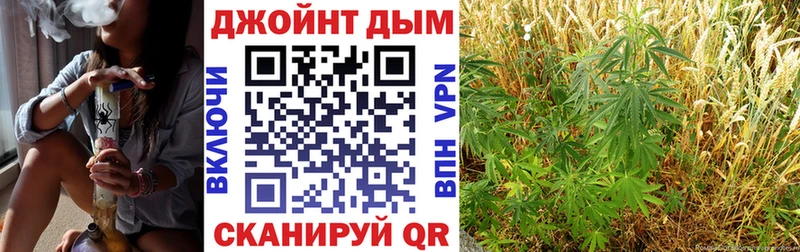 Канабис Amnesia  продажа наркотиков  Валдай 